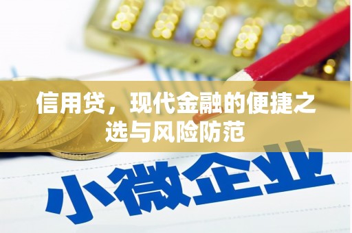 民和信用贷，现代金融的便捷之选与风险防范