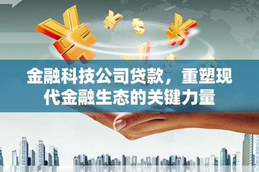 民和金融科技公司贷款，重塑现代金融生态的关键力量