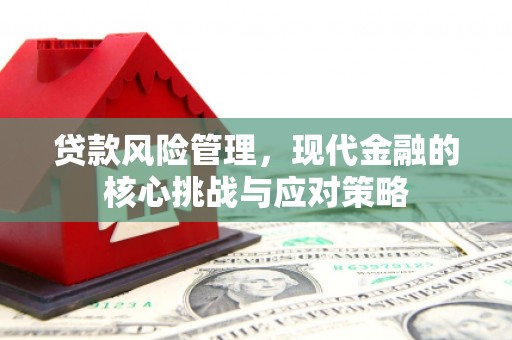 民和贷款风险管理，现代金融的核心挑战与应对策略