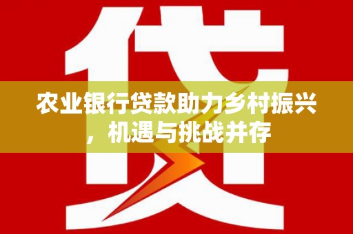 民和农业银行贷款助力乡村振兴，机遇与挑战并存