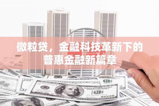 民和微粒贷，金融科技革新下的普惠金融新篇章