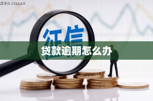 民和贷款逾期怎么办