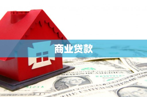 民和商业贷款