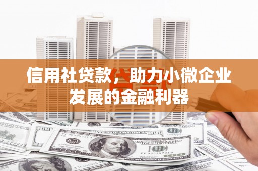 民和信用社贷款，助力小微企业发展的金融利器