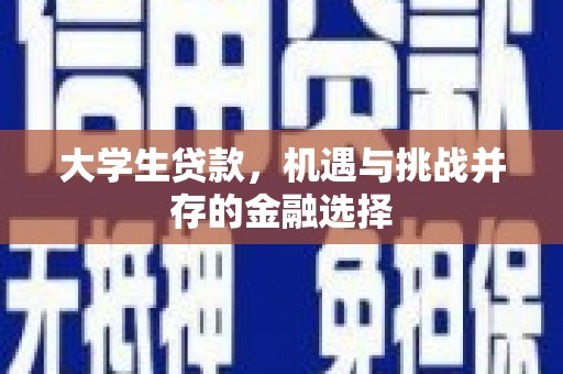 民和大学生贷款，机遇与挑战并存的金融选择
