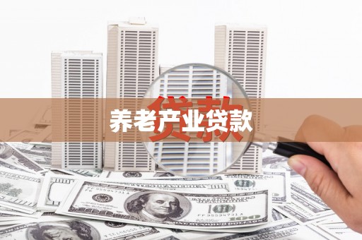 民和养老产业贷款