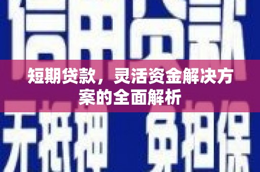 民和短期贷款，灵活资金解决方案的全面解析
