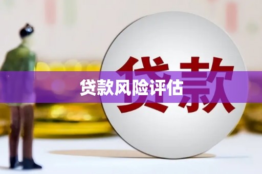 民和贷款风险评估