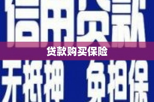 民和贷款购买保险