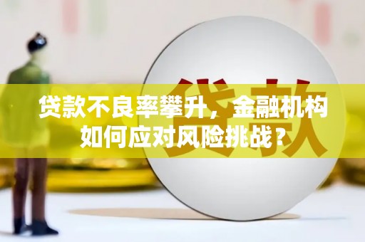 民和贷款不良率攀升，金融机构如何应对风险挑战？