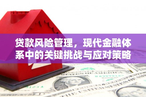 民和贷款风险管理，现代金融体系中的关键挑战与应对策略