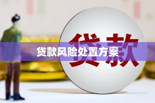 民和贷款风险处置方案