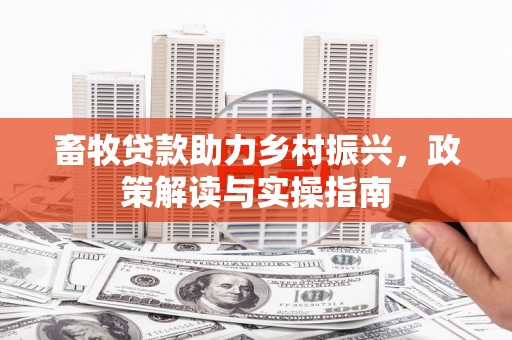 民和畜牧贷款助力乡村振兴，政策解读与实操指南