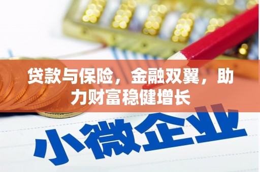 民和贷款与保险，金融双翼，助力财富稳健增长