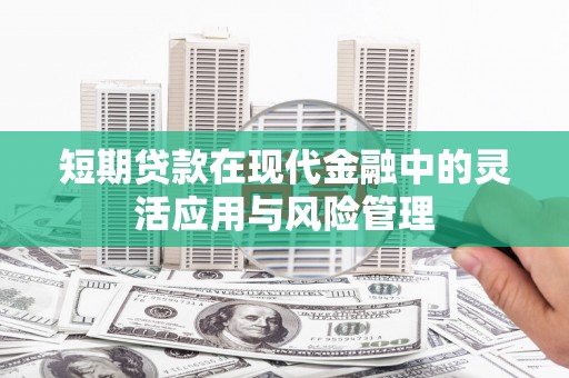 民和短期贷款在现代金融中的灵活应用与风险管理