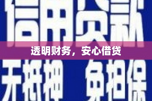 民和透明财务，安心借贷