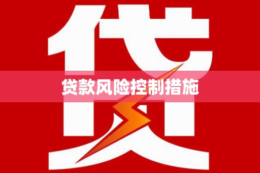 民和贷款风险控制措施