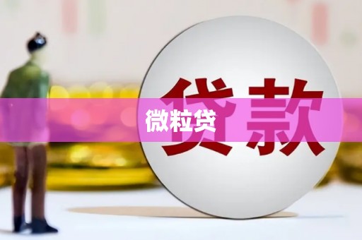 民和微粒贷