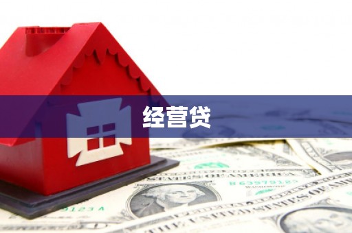 民和经营贷