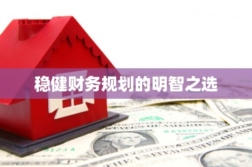 民和稳健财务规划的明智之选