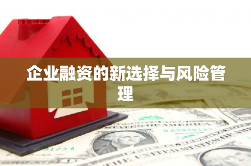 民和企业融资的新选择与风险管理