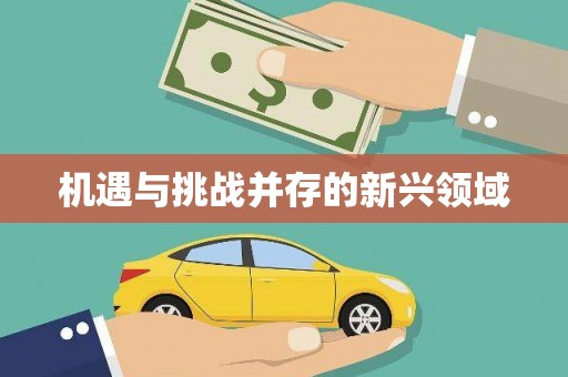 民和机遇与挑战并存的新兴领域
