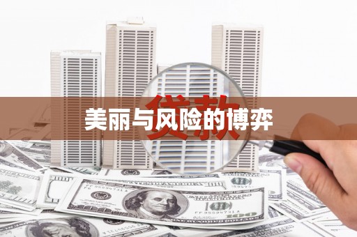 民和美丽与风险的博弈