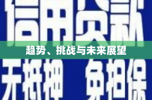 民和趋势、挑战与未来展望