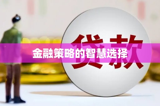 民和金融策略的智慧选择