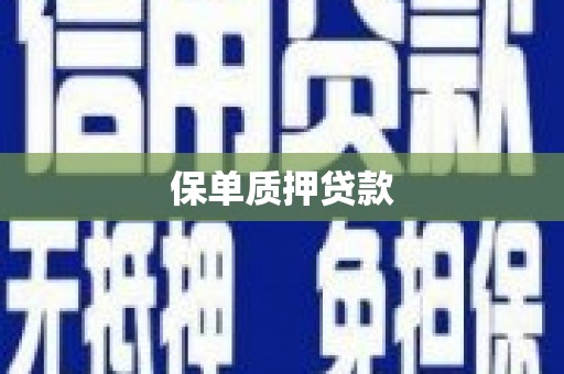 民和保单质押贷款
