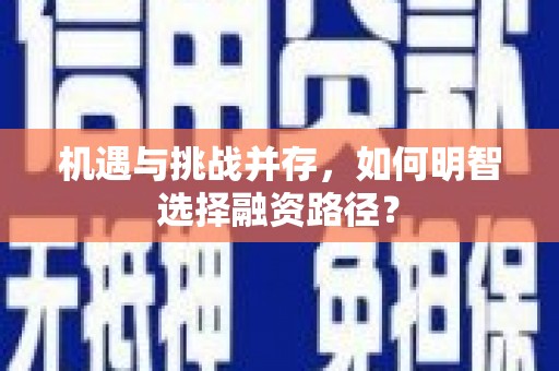 民和机遇与挑战并存，如何明智选择融资路径？