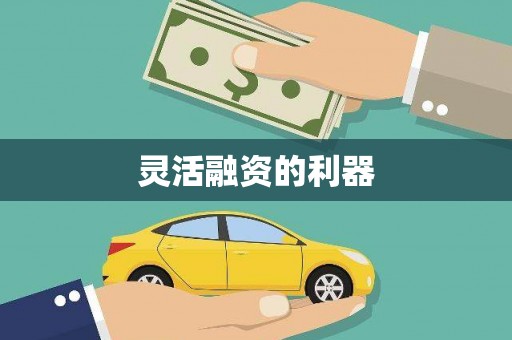 民和灵活融资的利器