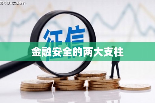 民和金融安全的两大支柱