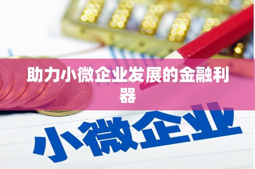 民和助力小微企业发展的金融利器