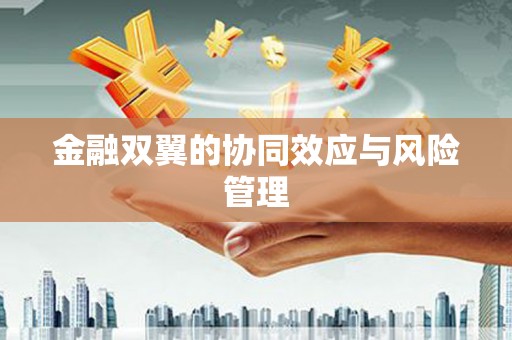 民和金融双翼的协同效应与风险管理