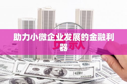 民和助力小微企业发展的金融利器