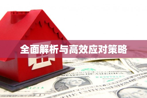 民和全面解析与高效应对策略