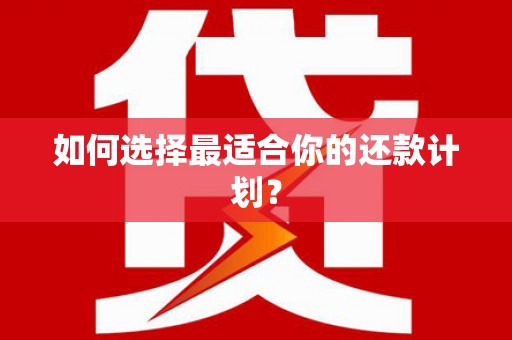 民和如何选择最适合你的还款计划？