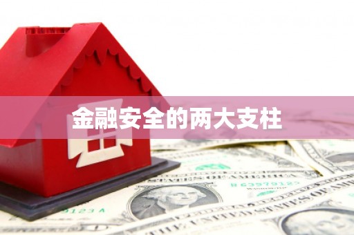 民和金融安全的两大支柱