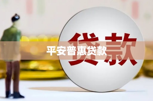民和平安普惠贷款