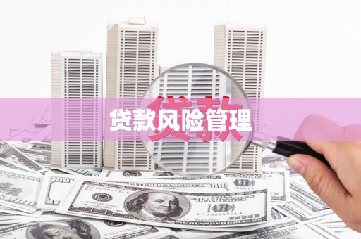 民和贷款风险管理